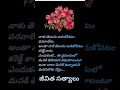 నీతి వాక్యాలు