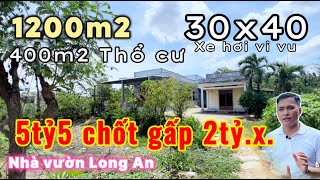 Nhà vườn Long An giá rẻ | chủ nợ xiết nhà bán thu hồi vốn chỉ hơn 2tỷ cho mảnh đất + nhà cấp 4 1200m