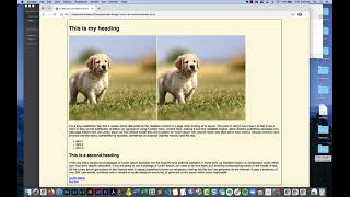 web html css refresher (part 2)