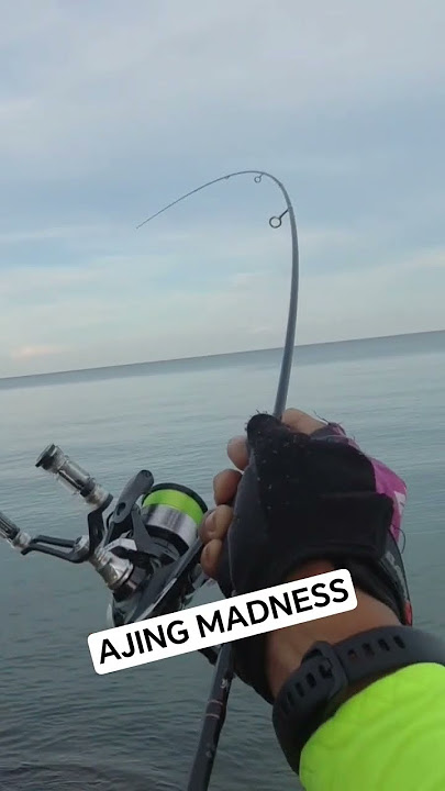 Ajing Fishing Strike Something Kasar #ajing #ajingfishing #ultralightfishing