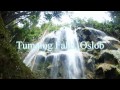 Tumalog Falls Oslob Philippines Adventure