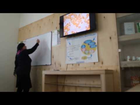 ჯანმრთელობის კონცეფცია.