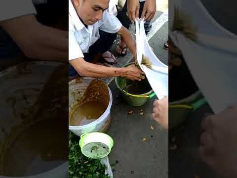 Pembuatan Pupuk Cair Feses Sapi
