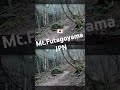 Mt Futagoyama #二子山 #双子山 #ハイキング