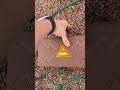 Protect your outdoor decorations