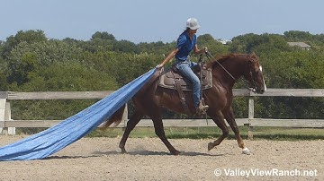 Attitudes Desire - dragging the tarp! - ValleyViewRanch.net