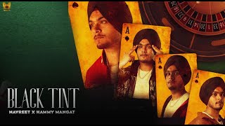 Black Tint | Navreet | Hammy Mangat | New Punjabi Song 2023 | Latest Punjabi Song