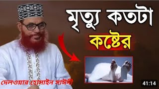 মৃত্যু কতটা কষ্টের | দেলওয়ার হোসাইন সাঈদী বাংলা ওয়াজ