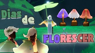 GUIA COMPLETO | Dias de Florescer 2024 Evento Sky Children of the Light #SkyCOTL #skycreatortroupe