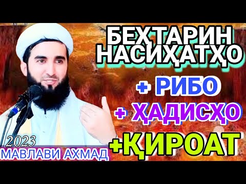 Мавлави Ахмад. Рибо Ҳаром Аст. Мавлави Ахмад Фируз 2023. Амри Маъруф 2023. Амри Маъруф 2022.