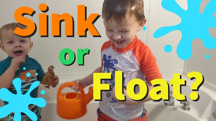 Sink or Float??? with Wes & Evan