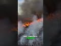 Are Natural Disasters Divine? See the Shocking Truth! #shorts