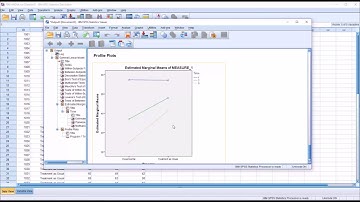 Conducting a Repeated Measures ANOVA in SPSS