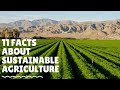 11 FACTS ABOUT SUSTAINABLE AGRICULTURE