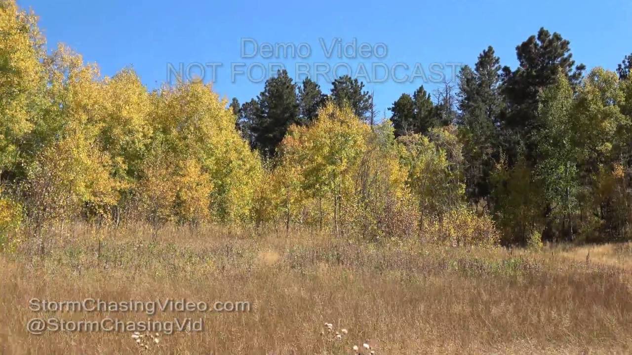 Fall Colors along Rist Canyon - Bellvue, Colorado - 9/27/2016 - 4K