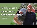 Plantera häck & installation av bevattningssystem - odlingsdagboken 28/5-2021