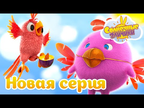 Легко ли быть попугаем? | Совершенно новый сезон 7 | Солнечные зайчики