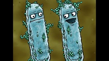 Bad Actor - Fecal Coliform