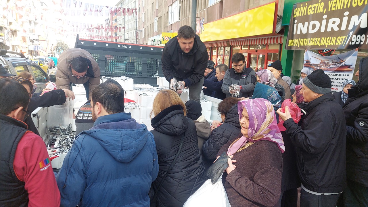 ÜCRETSİZ HAMSİ KAPIŞ KAPIŞ