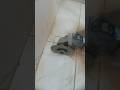 How To Setup Bathroom Drain System. ফ্লোর ড্রেন প্লাম্বিং সেটআপ @ToolBoxExpert1