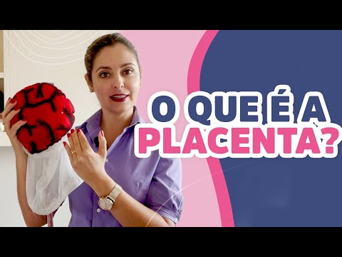 Vídeo: O que significa placenta?