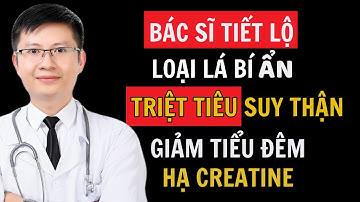 1 Loại lá giúp tiêu diệt suy thận, hạ creatinine, hết tiểu đêm, nước tiểu trong, ngủ ngon sâu giấc