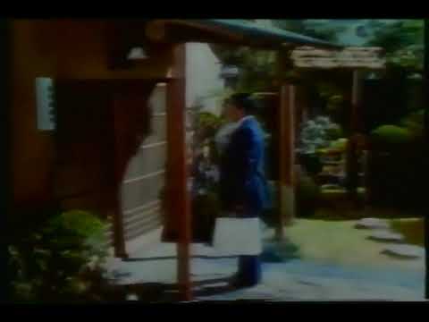 日本生命 NISSAY ロングラン (1991)