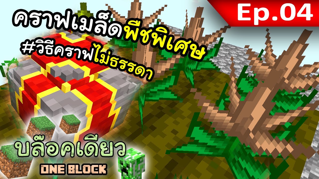 เมล็ดพืชพิเศษ ผลผลิตพิเศษ #4 | Minecraft บล๊อคเดียว (OneBlock)