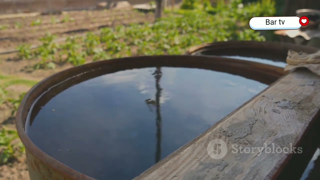 Discover the Magic of Permaculture: Sustainable Living Explained!