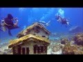 Mergulho em Cancún México Isla das Mujeres