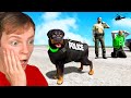 CHOP'S A POLICE DOG in GTA 5!