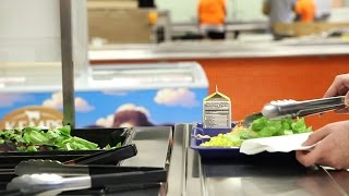 How Plymouth Rocks School Meals screenshot 1