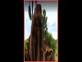 Giant Sloth Big as an Elephant Still Alive? #Shorts