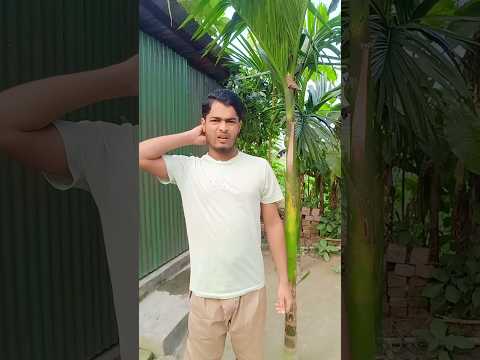  Daylog_hi_bhul_gaya 😆😂 #jmcomedyshorts #realfools #funny #shorts #comedy #trending 