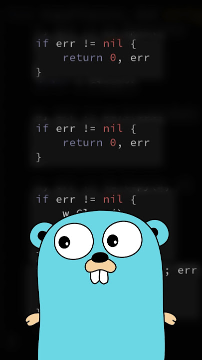 I learned the Go Programming Language 👩‍💻 #coding #coder #programming #software #technology