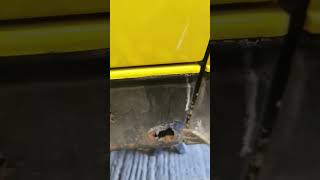 good time to buy an E36 is it 😂 #bmw #e36