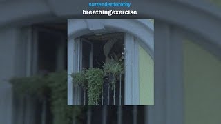 surrenderdorothy - lifeasiknowit (legendado)