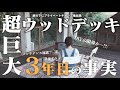 【女手ひとつ根性だけでDIY】夢と希望が溢れる超巨大ウッドデッキには、色んなお客様が訪れるようになりました【Jackery 1000 New】