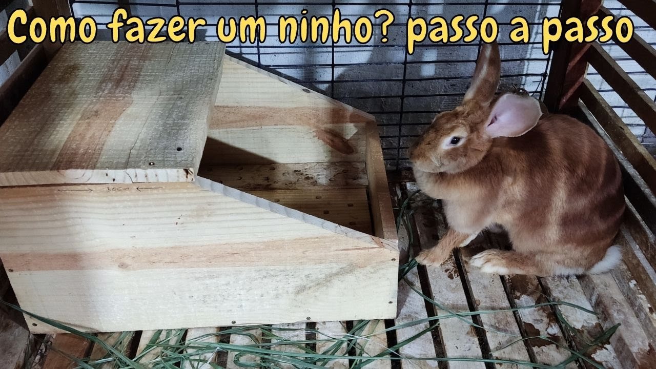 Como fazer um ninho para coelho? Passo a Passo.
