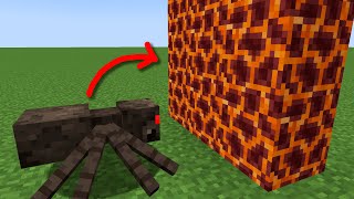 can spider climb on magma block