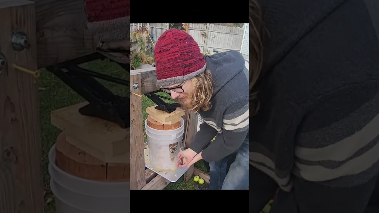 Производство яблочного сока в 2024 году