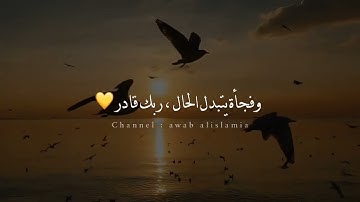 صوت يبكي الحجر- أجمل حالات واتس اب قرآن كريم بصوت جميل جدا ❤️✨| Quran status