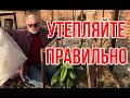 Как правильно укрывать растения на зиму / Игорь Билевич