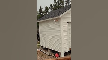 swallows building a nest 2023