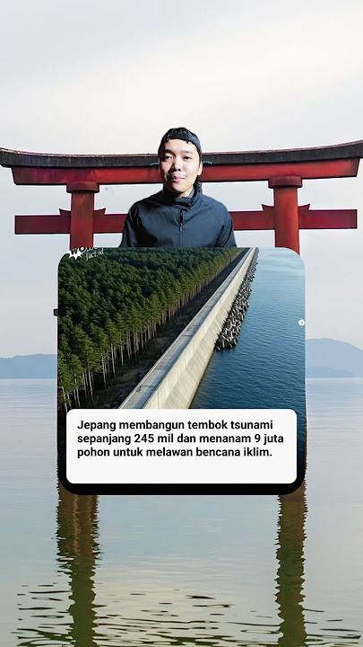 Tapi dinegara antah berantah hutan dibabat habis, digundulin, dibabat habis tanpa peduli alam.