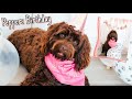OUR PUPPY'S FIRST BIRTHDAY!! | Puppy Birthday Vlog 2020