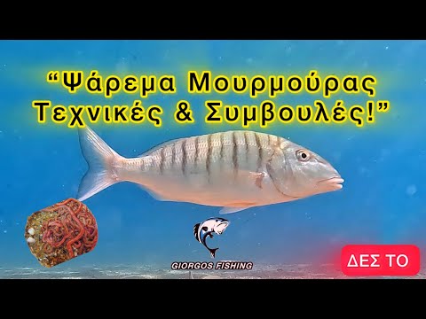 ΒΡΕΣ ΤΙΣ ΜΟΥΡΜΟΥΡΕΣ