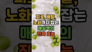 간 독소 빼고 장까지 살린다? 여름엔 매실액이 답입니다 #매실액 #여름건강음료 #해독음식 #간건강 #지식 #50세 #명언