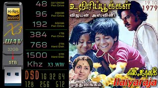 போடா போடா பொக்கா   DSD   WAV   MP3 Songs   80s   90s Songs   2000s Songs   Ilayaraja Songs