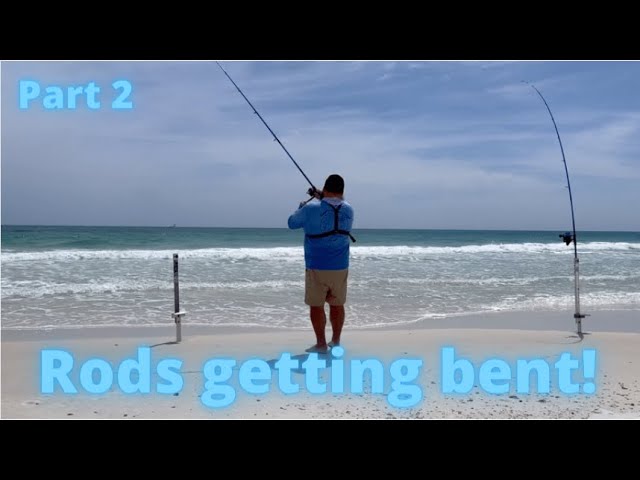 Temple Fork Outfitters fishing rod Review!! 